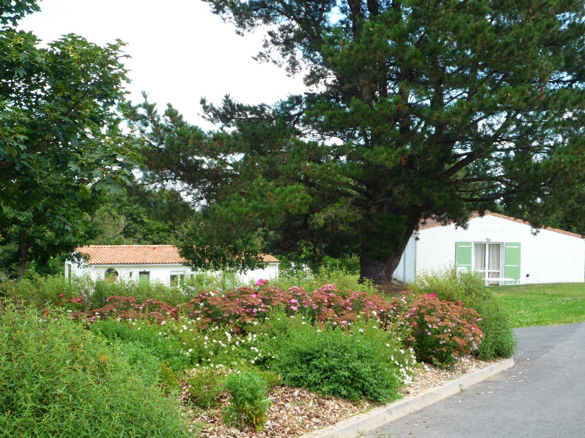 Village De